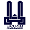 erzurum